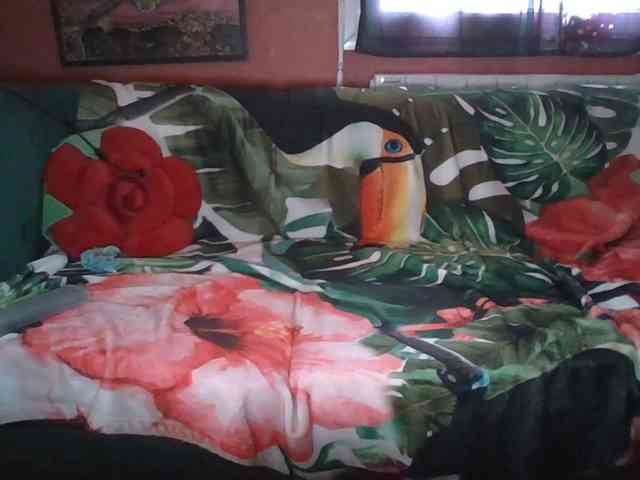 Angelique4 webcam