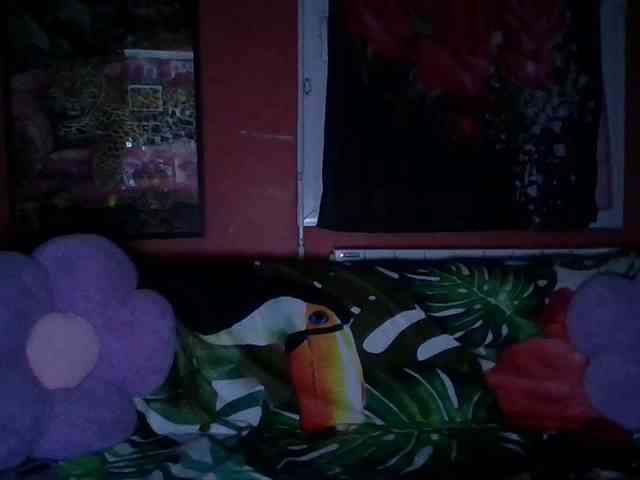 Angelique4 webcam