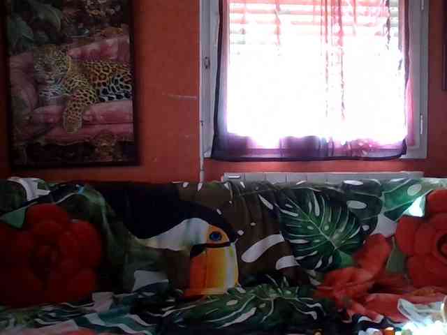 Angelique4 webcam