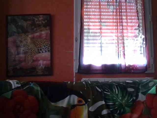 Angelique4 webcam