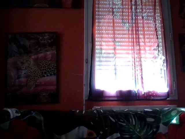 Angelique4 webcam