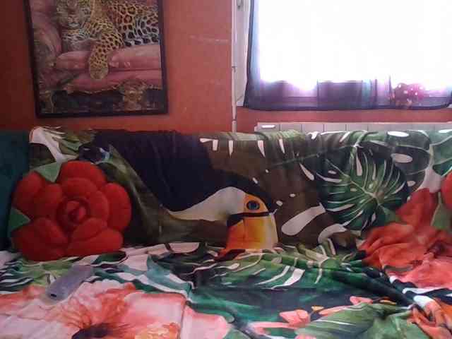 Angelique4 webcam