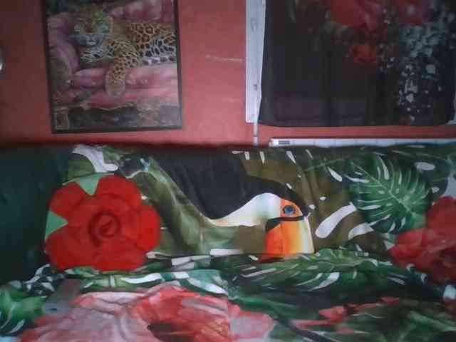 Angelique4 webcam