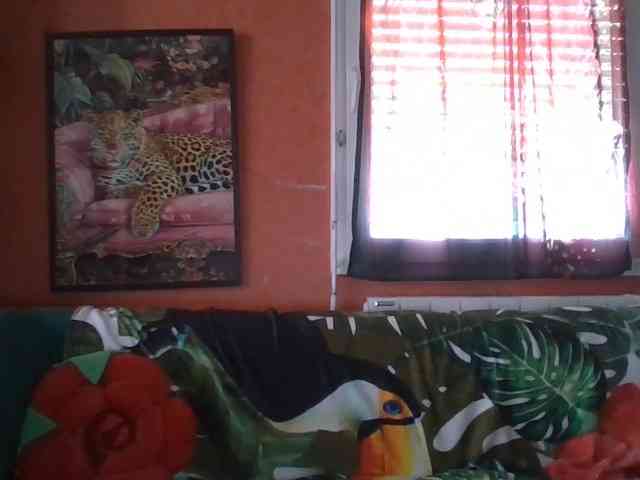 Angelique4 webcam