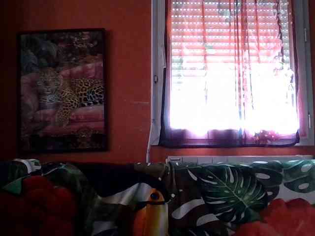 Angelique4 webcam