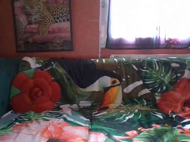 Angelique4 webcam