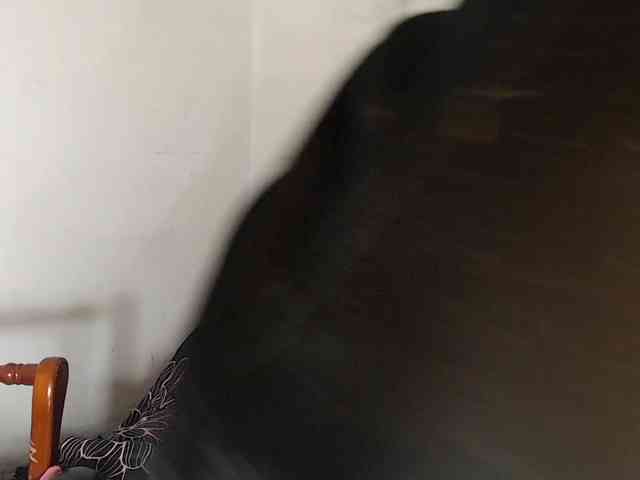 Pepiitaa-Pexx webcam