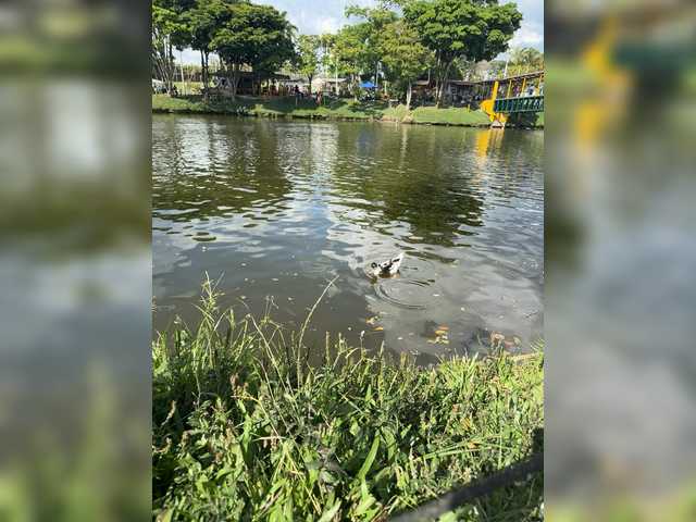 emmaherby1's BongaCams show and profile