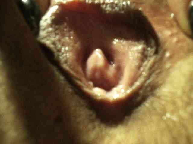 EmmaHerby1 webcam
