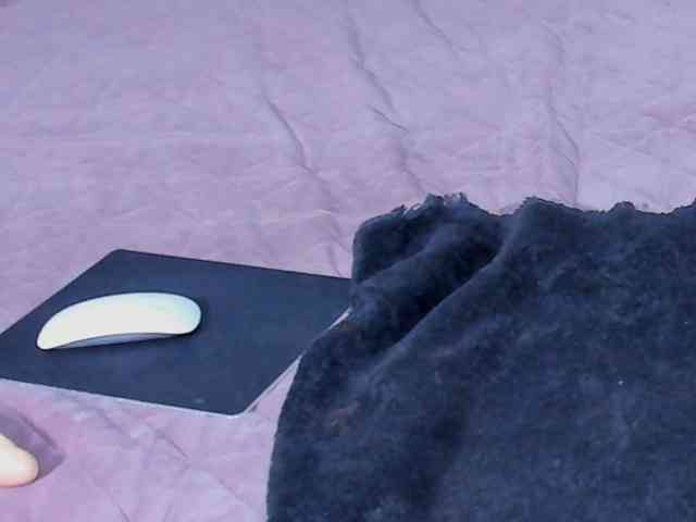 AnaBrown webcam