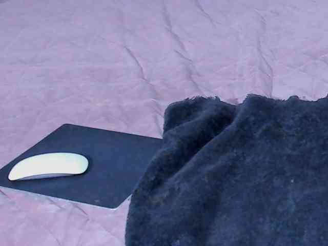 AnaBrown webcam