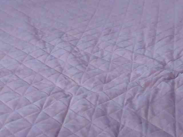 AnaBrown webcam