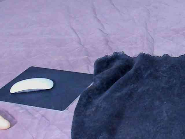 AnaBrown webcam