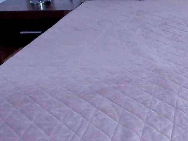 AnaBrown webcam