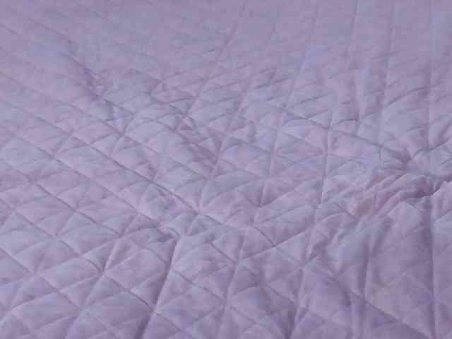 AnaBrown webcam