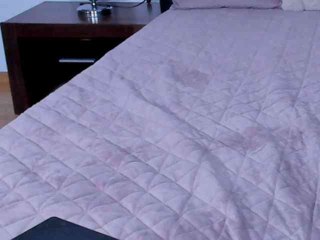 AnaBrown webcam
