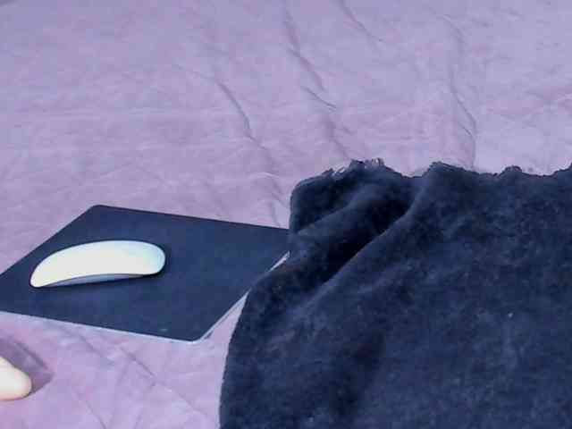 AnaBrown webcam