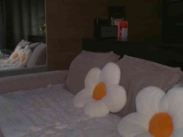 AlexisGrays webcam