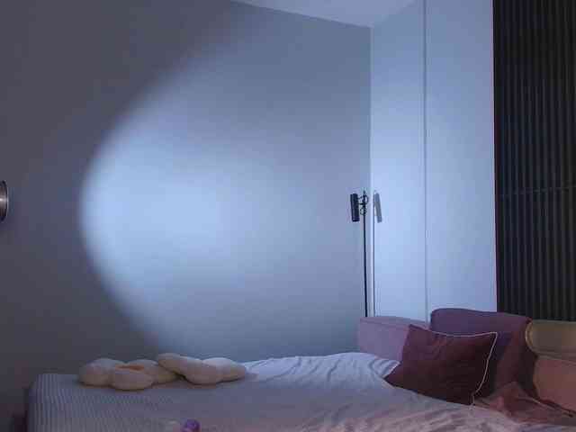 AlexisGrays webcam