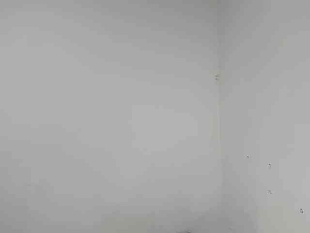 roxanahills_ webcam