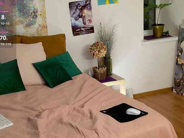Visbee webcam
