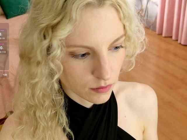 Visbee webcam