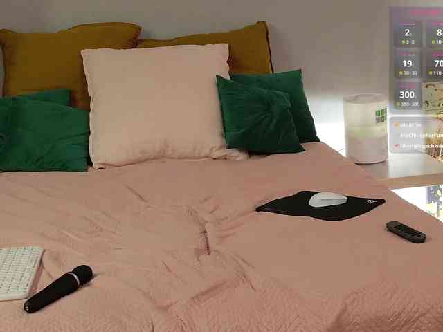 Visbee webcam