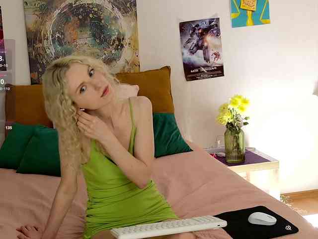 Visbee webcam