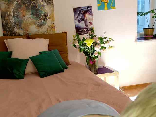 Visbee webcam