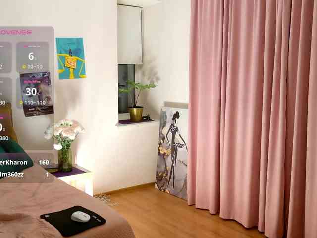 Visbee webcam