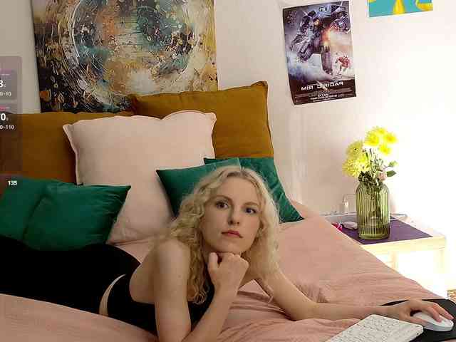 Visbee webcam
