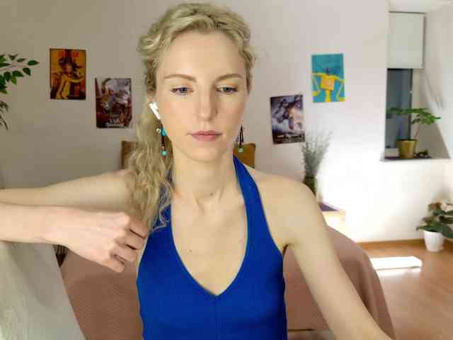 Visbee webcam