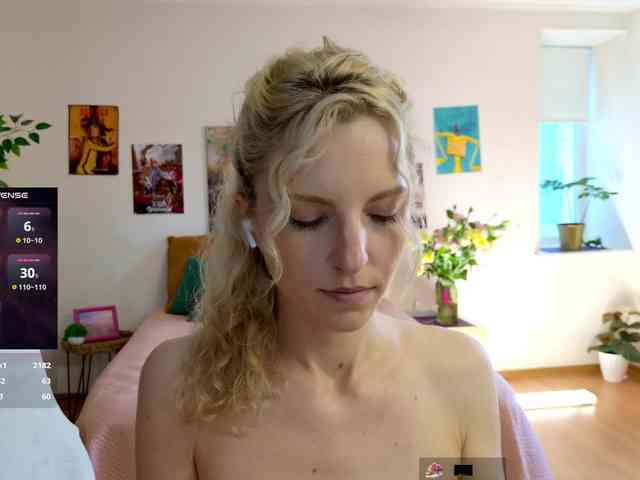 Visbee webcam