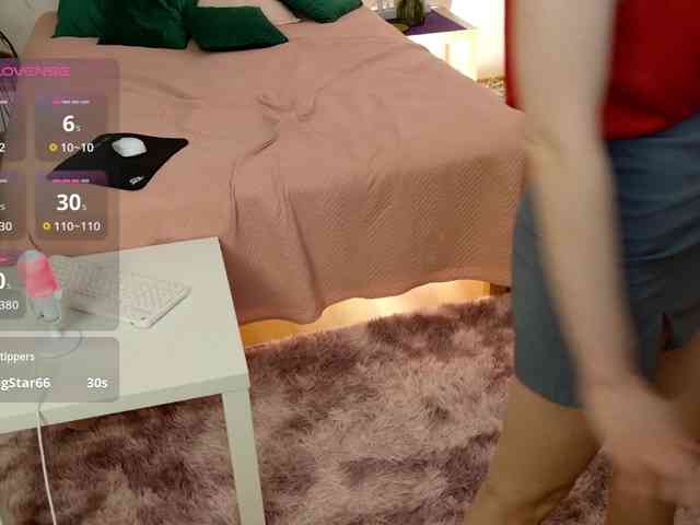 Visbee webcam
