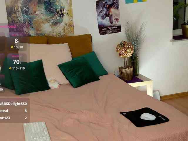 Visbee webcam