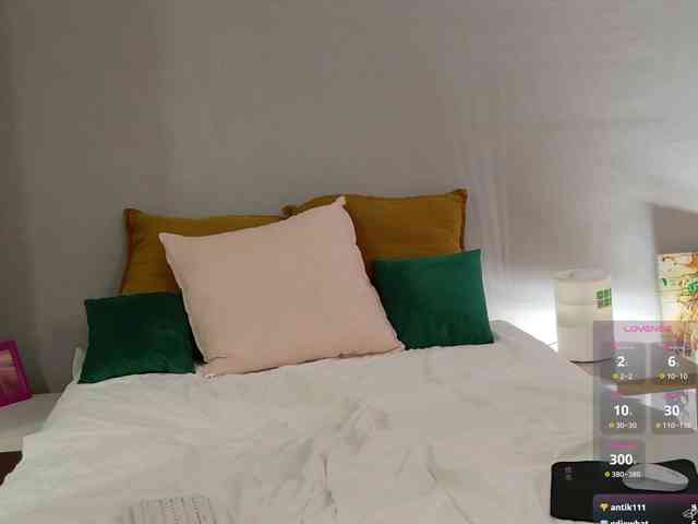 Visbee webcam