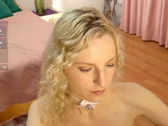 Visbee webcam