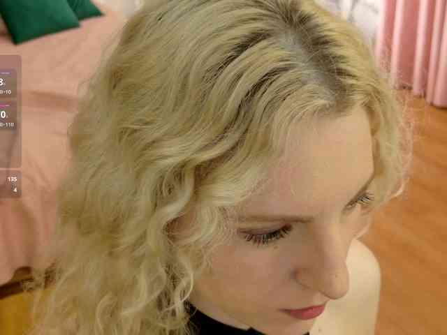 Visbee webcam