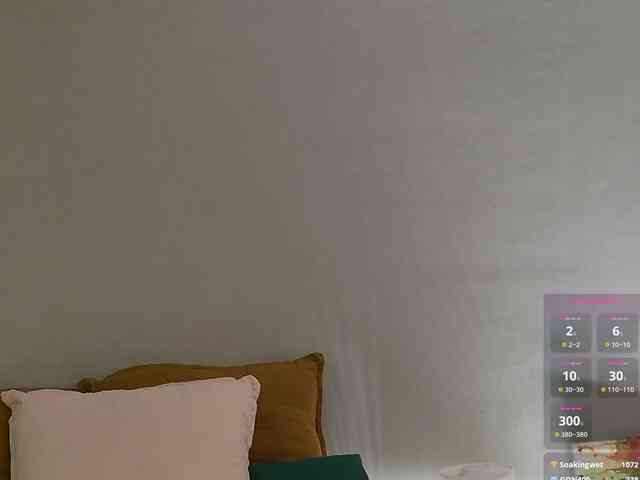 Visbee webcam