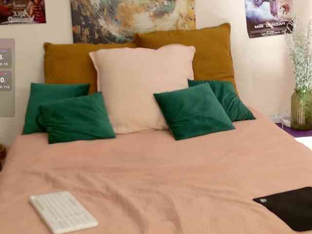 Visbee webcam