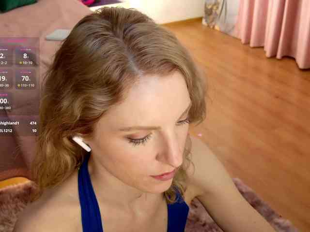 Visbee webcam