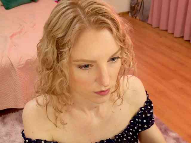 Visbee webcam