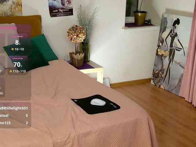 Visbee webcam