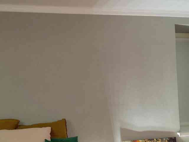 Visbee webcam