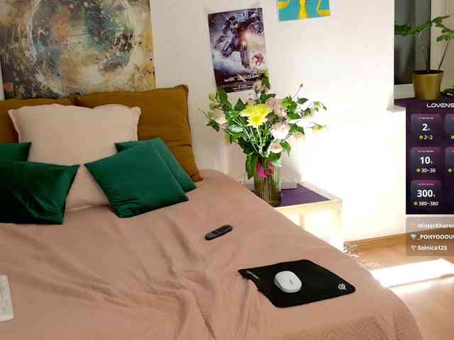 Visbee webcam