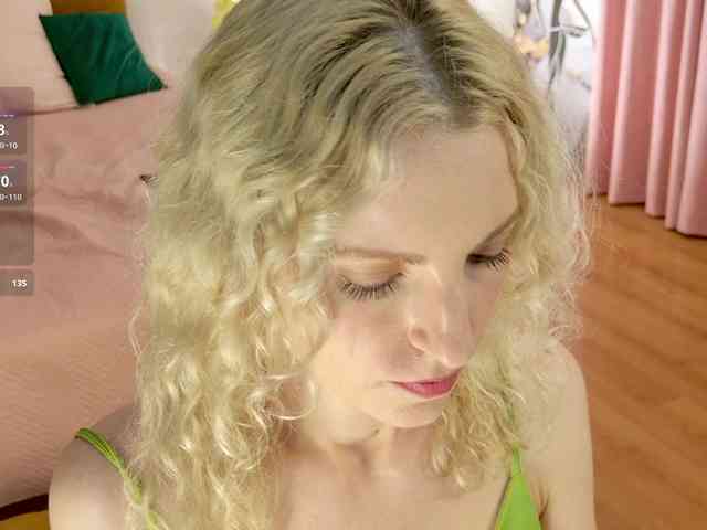 Visbee webcam