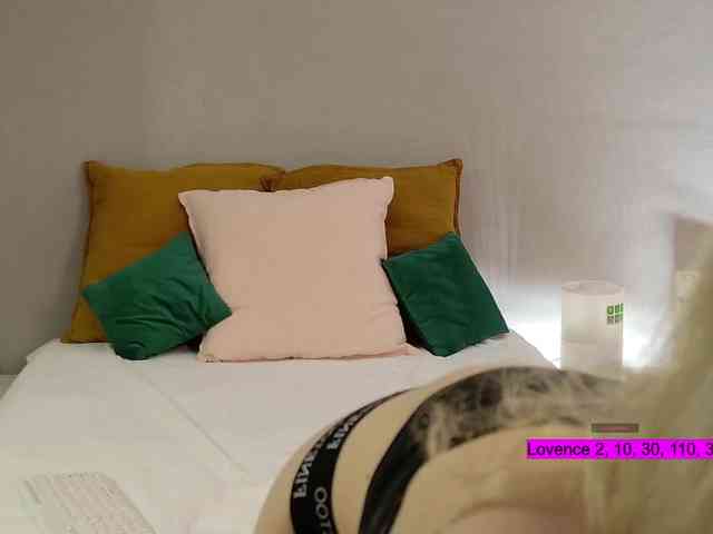 Visbee webcam