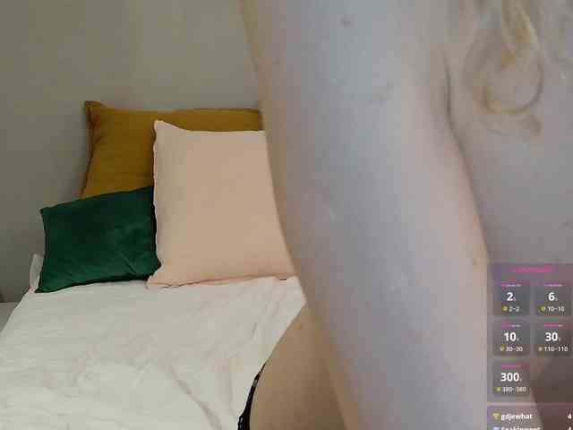 Visbee webcam