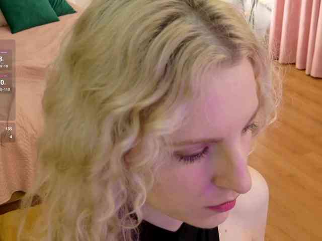Visbee webcam