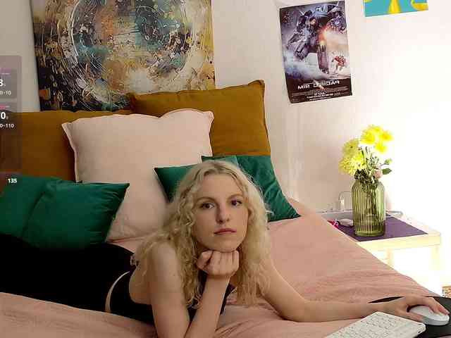 Visbee webcam